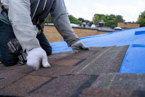 Best Storm Damage Roof Repair  in Ellisville, MS