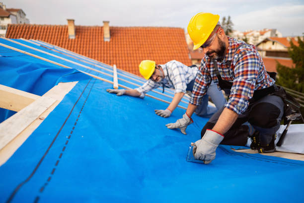 Professional Roofing Contractor in Ellisville, MS